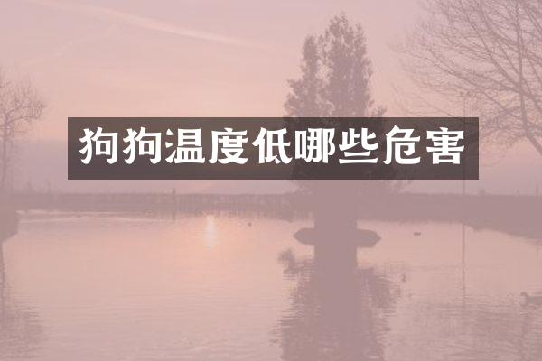狗狗温度低哪些危害