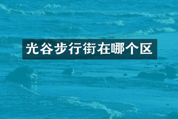 光谷步行街在哪个区
