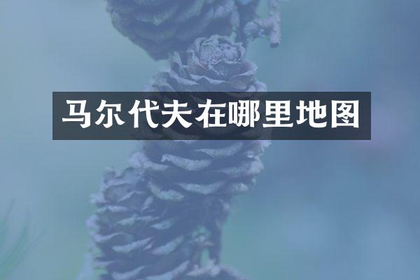 马尔代夫在哪里地图