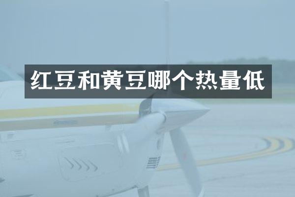 红豆和黄豆哪个热量低