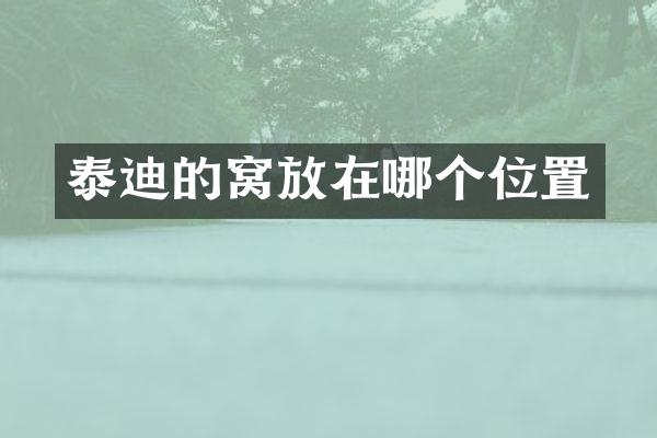 泰迪的窝放在哪个位置