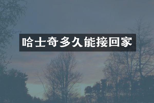 哈士奇多久能接回家