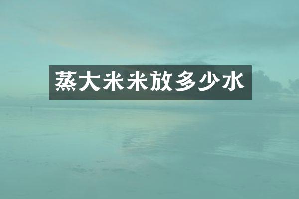 蒸大米米放多少水