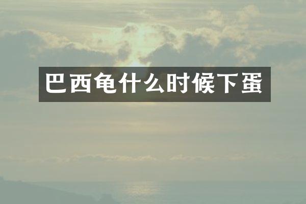 巴西龟什么时候下蛋