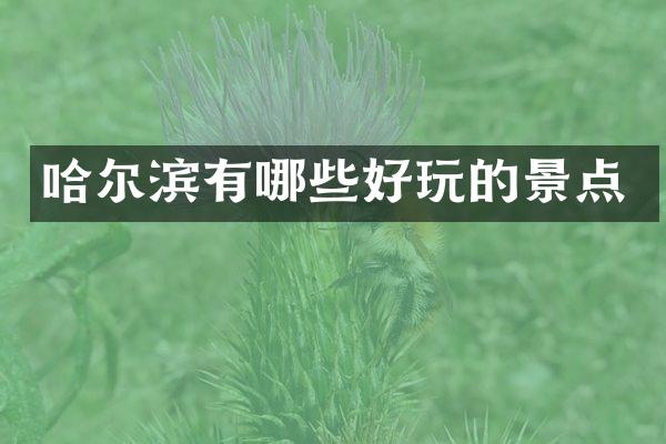 哈尔滨有哪些好玩的景点