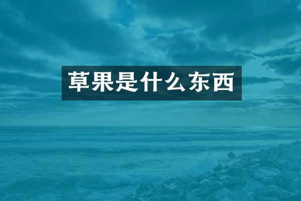 草果是什么东西