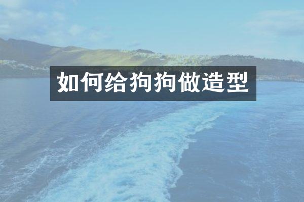 如何给狗狗做造型