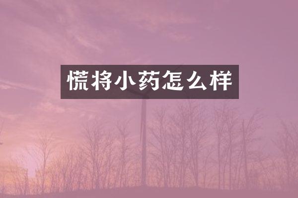 慌将小药怎么样