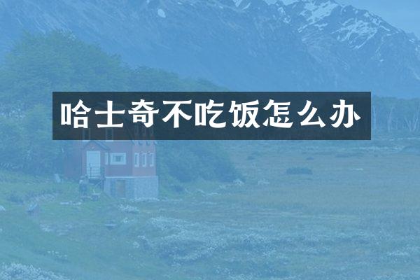 哈士奇不吃饭怎么办