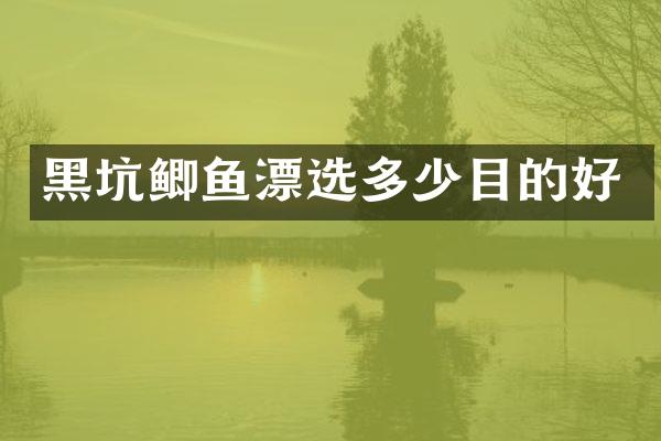 黑坑鲫鱼漂选多少目的好