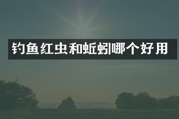 钓鱼红虫和蚯蚓哪个好用