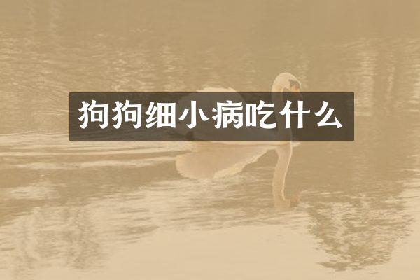 狗狗细小病吃什么