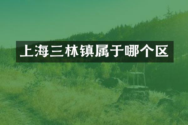 上海三林镇属于哪个区