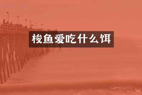 梭鱼爱吃什么饵