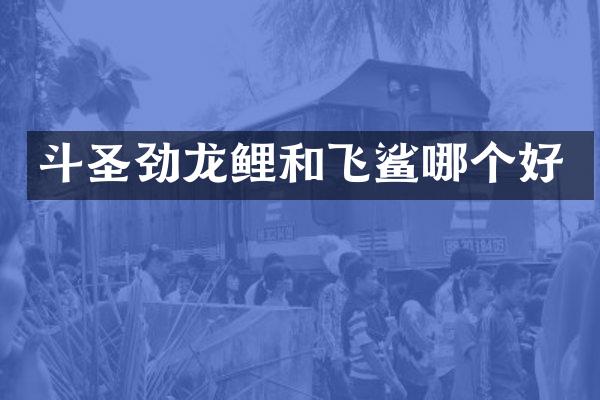 斗圣劲龙鲤和飞鲨哪个好