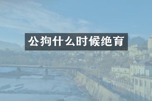 公狗什么时候绝育