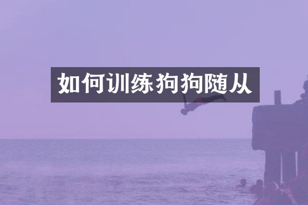 如何训练狗狗随从