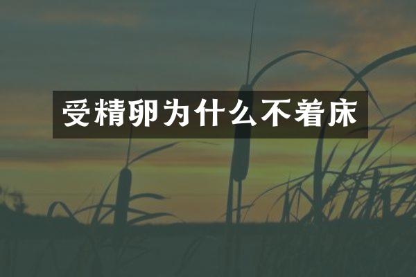 受精卵为什么不着床