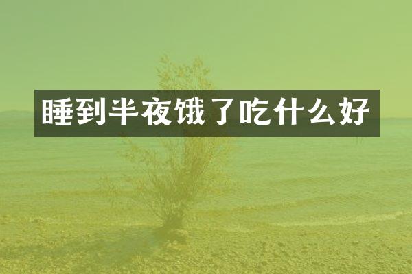 睡到半夜饿了吃什么好