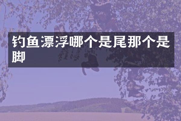钓鱼漂浮哪个是尾那个是脚