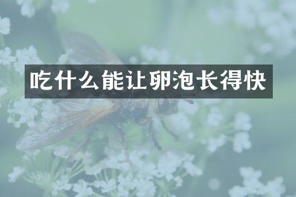 吃什么能让卵泡长得快