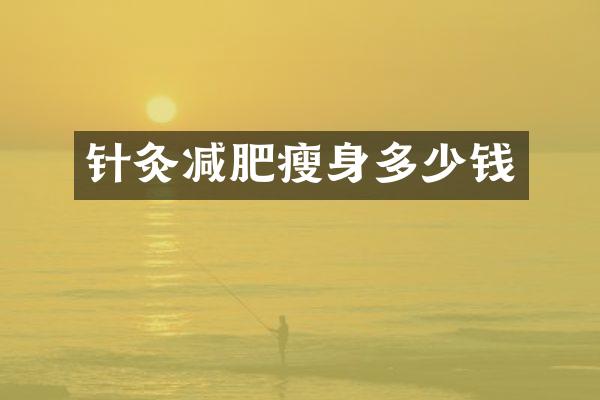 针灸减肥多少钱