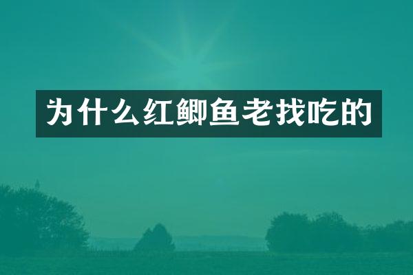为什么红鲫鱼老找吃的
