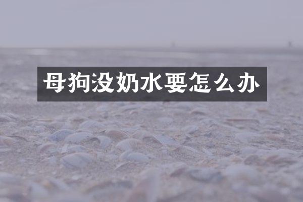 母狗没奶水要怎么办