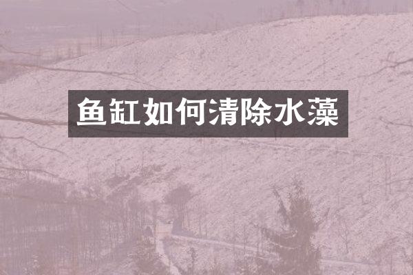 鱼缸如何清除水藻