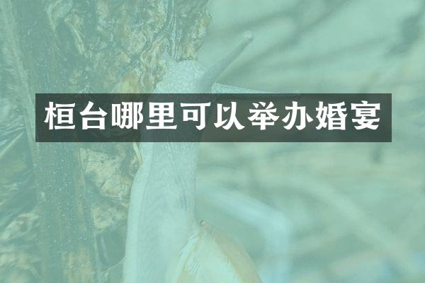 桓台哪里可以举办婚宴