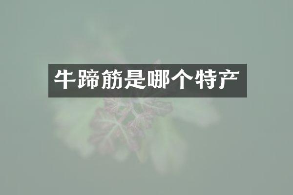 牛蹄筋是哪个特产