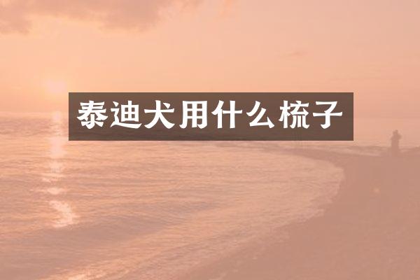 泰迪犬用什么梳子