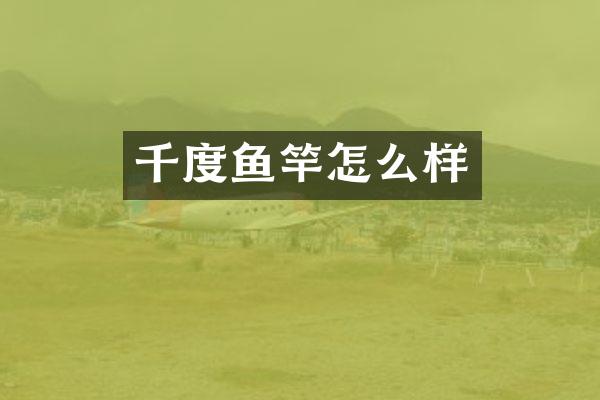 千度鱼竿怎么样