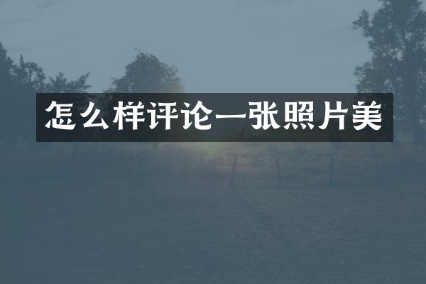 怎么样评论一张照片美