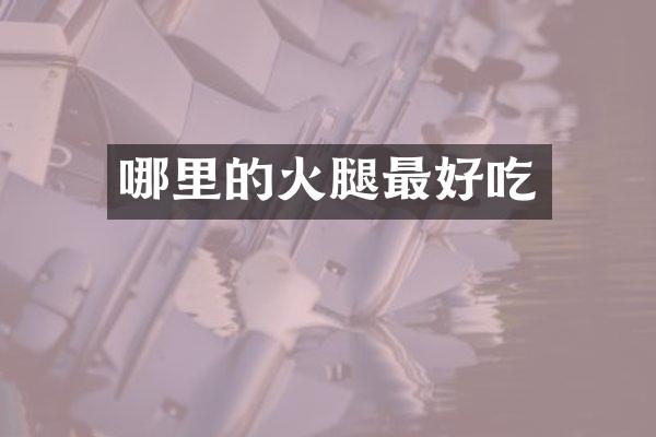 哪里的火腿最好吃