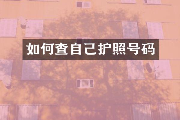 如何查自己护照号码