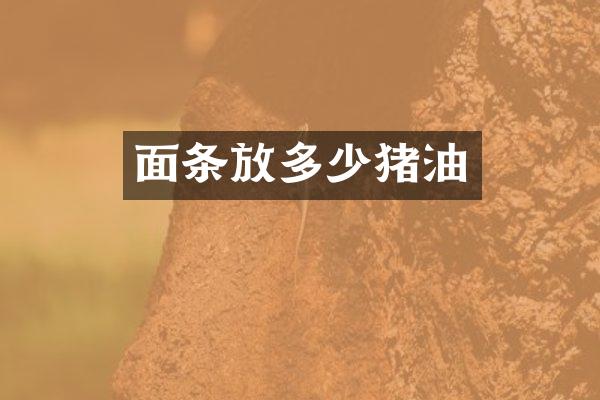 面条放多少猪油