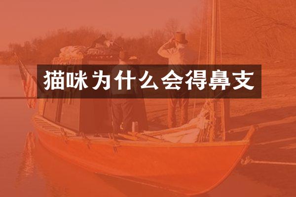 猫咪为什么会得鼻支