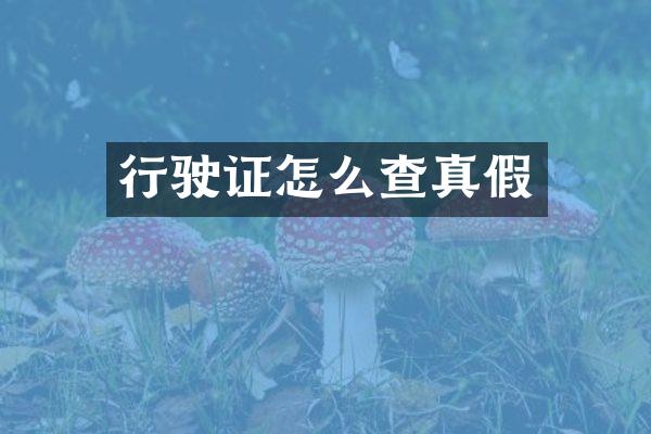 行驶证怎么查真假