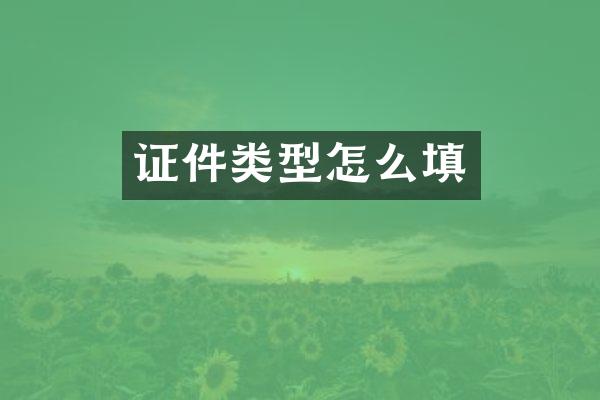 证件类型怎么填