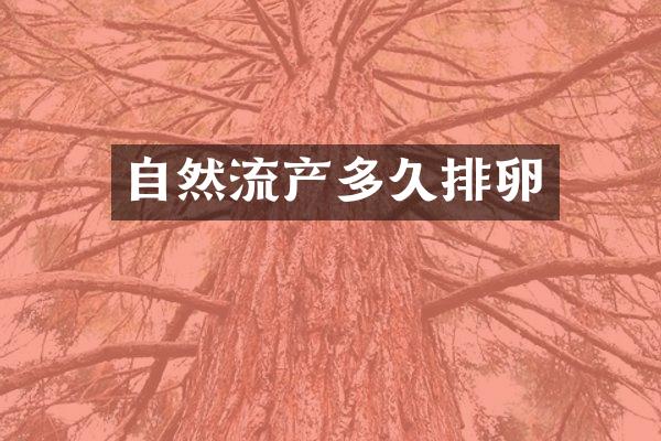 自然流产多久排卵