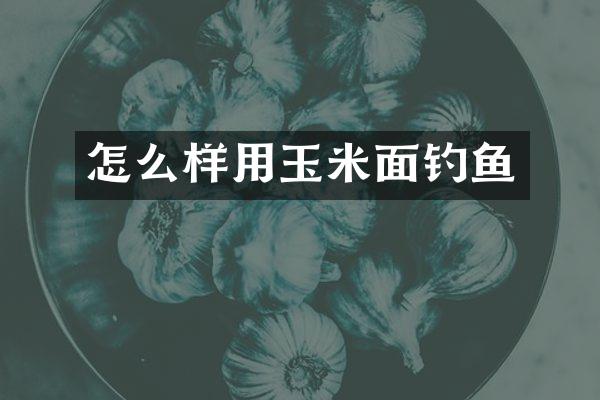 怎么样用玉米面钓鱼