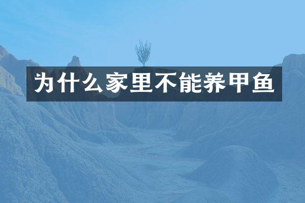 为什么家里不能养甲鱼