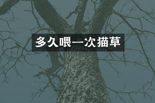 多久喂一次猫草