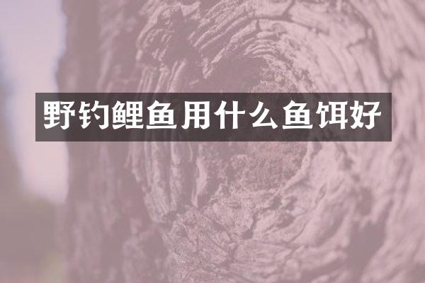 野钓鲤鱼用什么鱼饵好