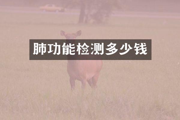 肺功能检测多少钱