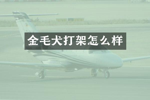 金毛犬打架怎么样