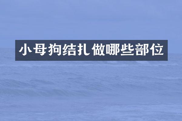 小母狗结扎做哪些部位