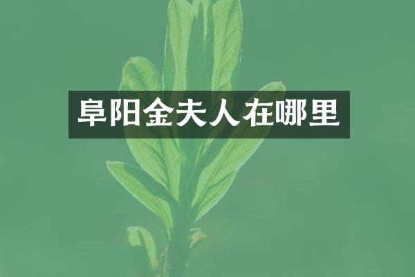 阜阳金夫人在哪里