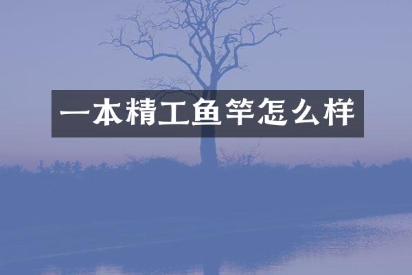 一本精工鱼竿怎么样